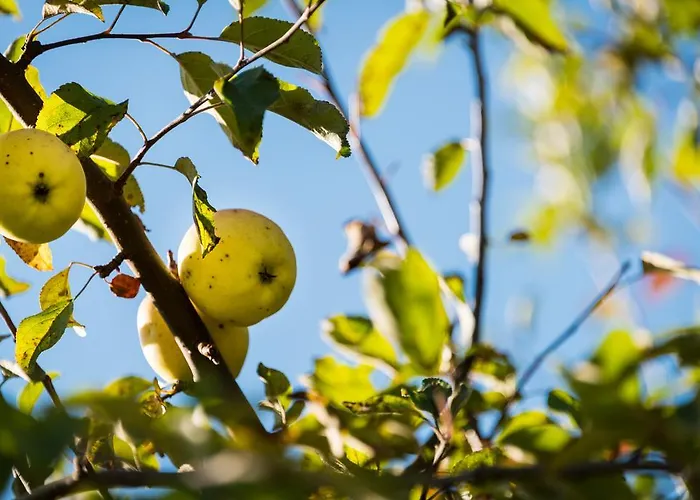 Unterhof 게스트하우스 Kolsassberg